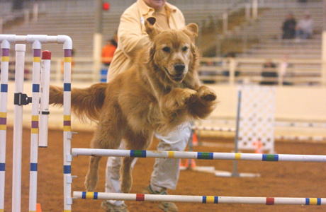SmallPicture of Dylan with AJP title ribbons
