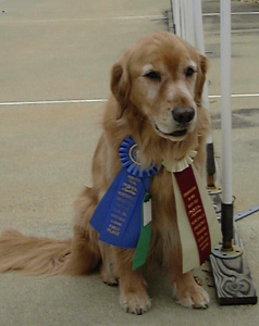 SmallPicture of Dylan with AJP title ribbons