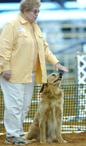 SmallPicture of Dylan with AJP title ribbons
