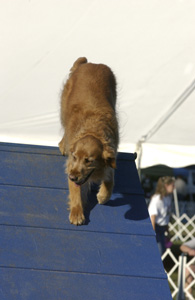 SmallPicture of Trys 