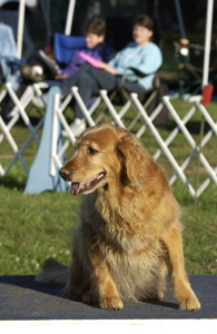 SmallPicture of Trys 