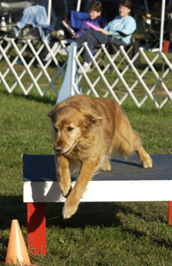 SmallPicture of Trys 