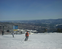 Small
Picture from Gondola 