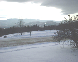 Small
Picture from Trapps