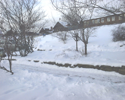 Small
Picture from Trapps 
