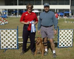 Small Picture of Trys