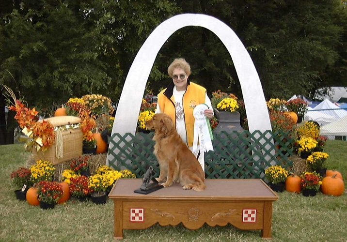 SmallPicture of  Trys